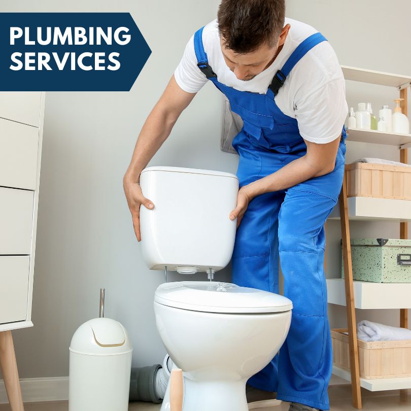 Plumbing Company in Stateline, NV